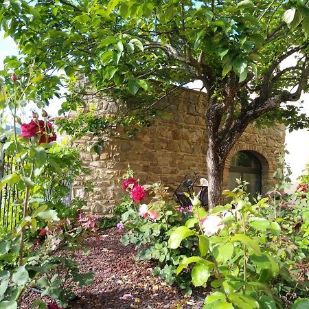 Da Vinci Sweet Home Castiglion Fibocchi Extérieur photo