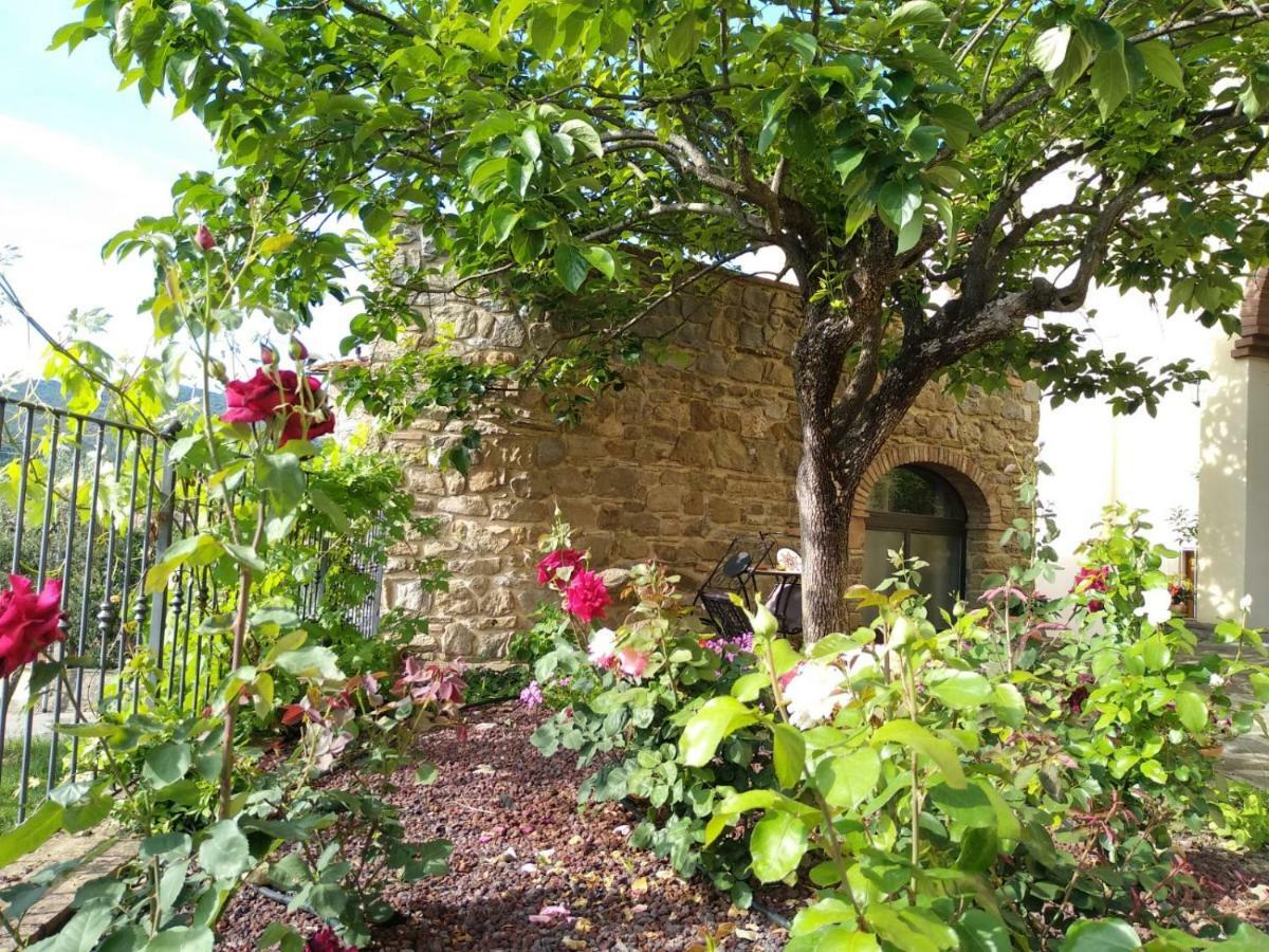Da Vinci Sweet Home Castiglion Fibocchi Extérieur photo